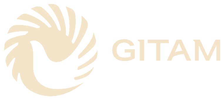 GITAM University